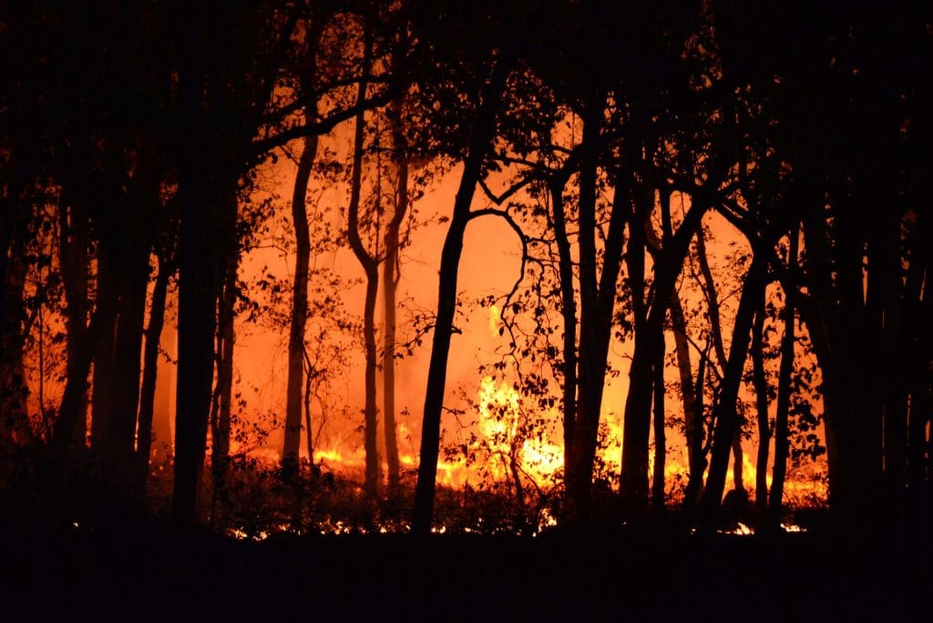 Bushfire burning through forest ahead of the 2026-27 bushfire season in NSW